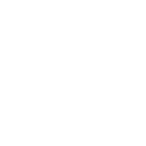 village of scandinavia logo
